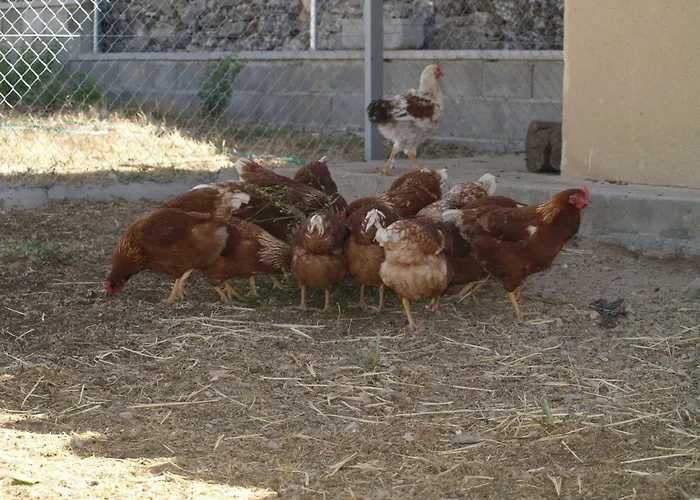 Rural Las Campanas
